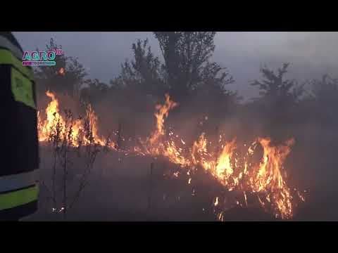 Daune în urma incendiului de la Cahul. Peste 600 de mii de lei sunt necesari pentru recuperare